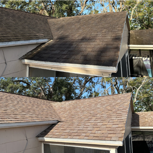 Screenshot 2025-10-14 225904